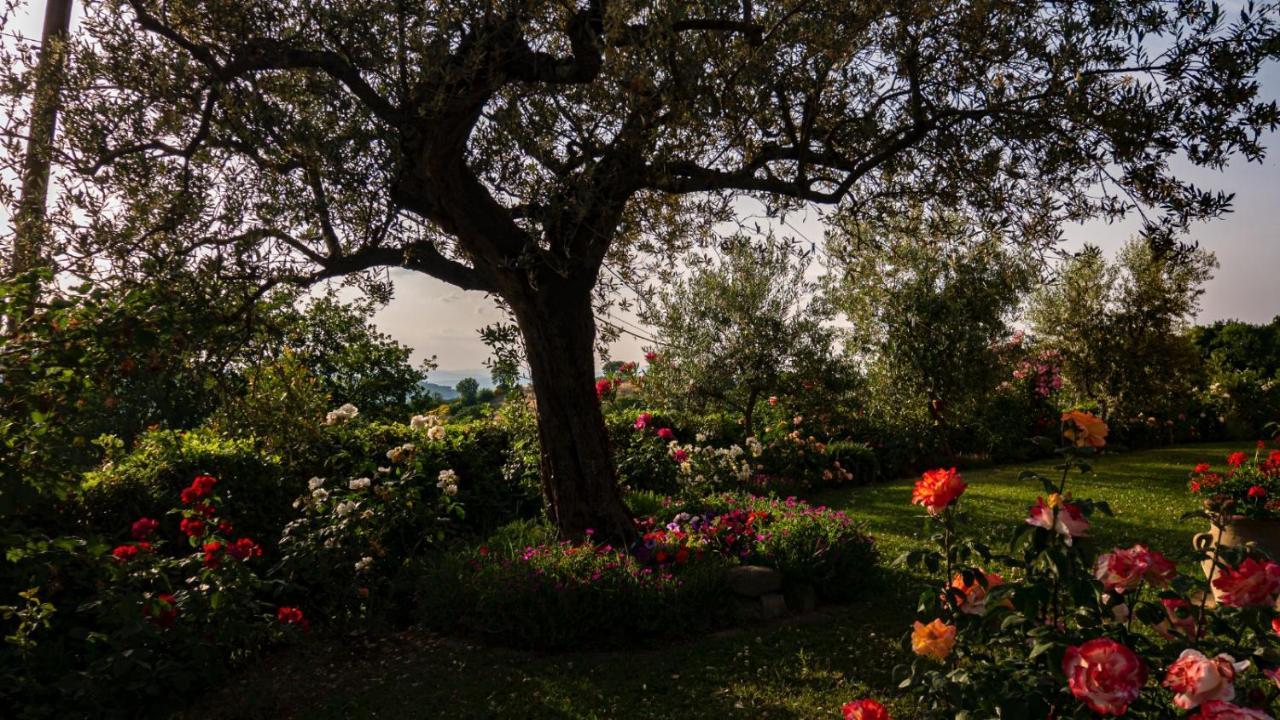 Il Casale Di Fiore Cannara Extérieur photo
