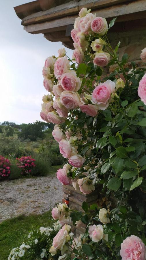 Il Casale Di Fiore Cannara Extérieur photo